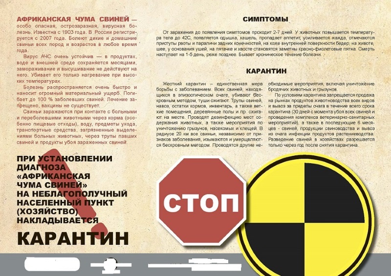 pamyatka zhivotnie v poselenii 1